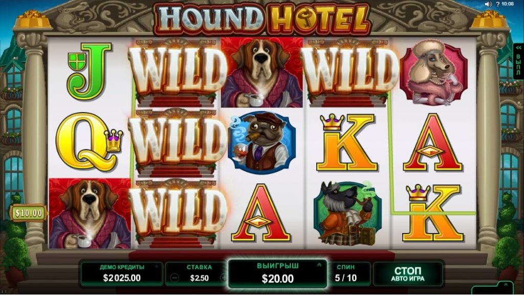 hound hotel wild